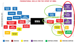 Le 11 Abilità Tecniche delle MMA analizzate dalla UFC Performance Institute